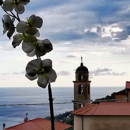 Dolci Risvegli Appartamento Vista Mare Ventimiglia Eksteriør bilde