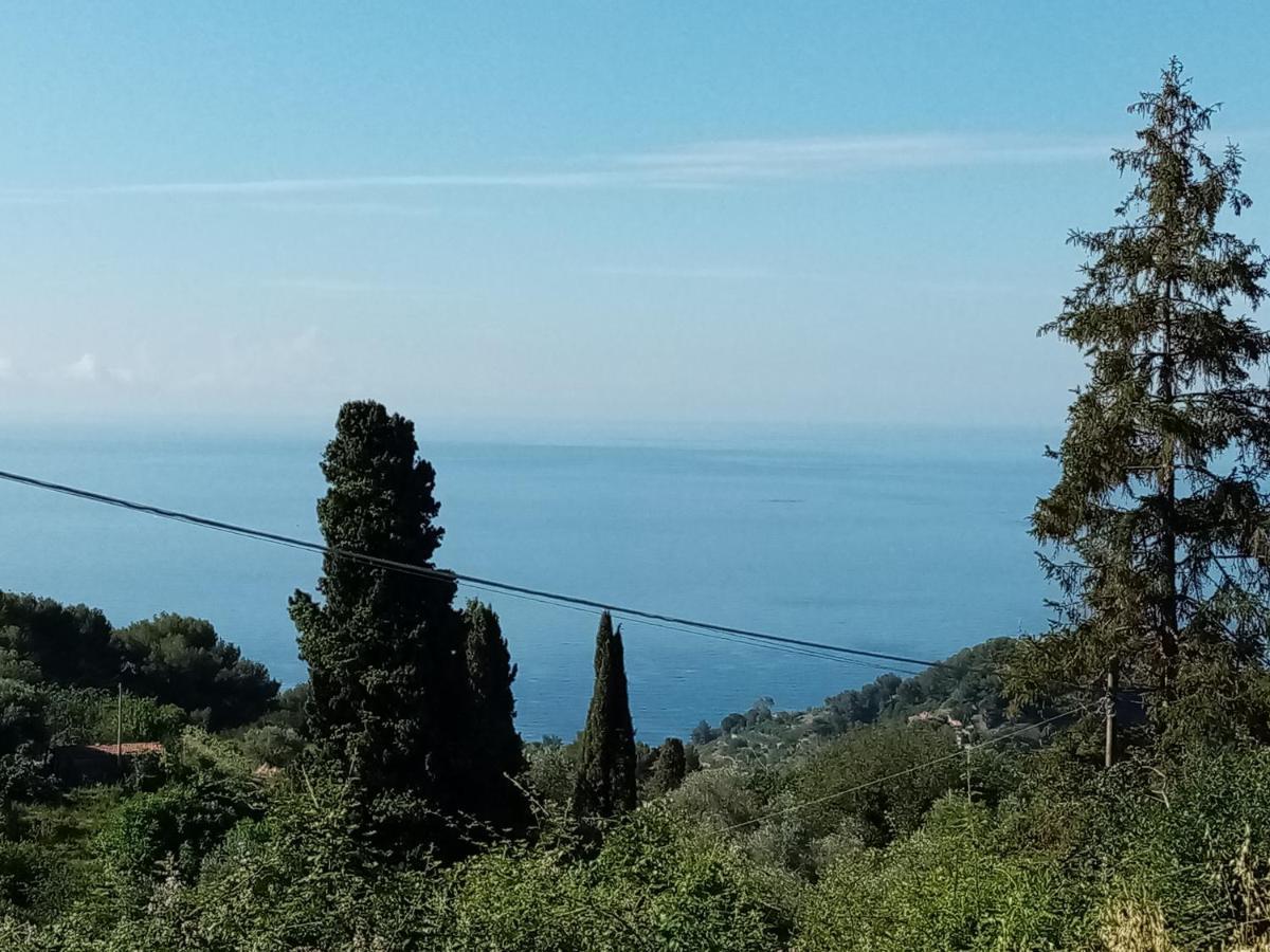 Dolci Risvegli Appartamento Vista Mare Ventimiglia Eksteriør bilde