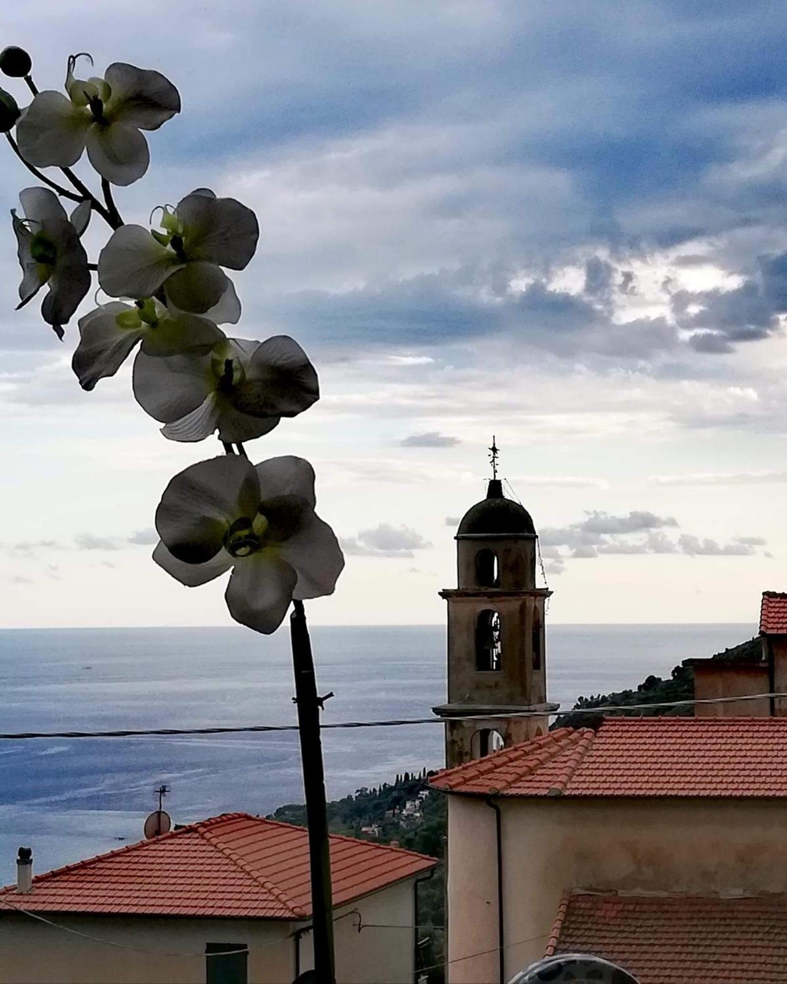 Dolci Risvegli Appartamento Vista Mare Ventimiglia Eksteriør bilde