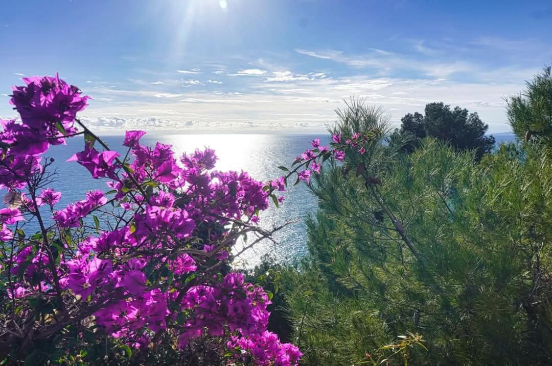 Dolci Risvegli Appartamento Vista Mare Ventimiglia Eksteriør bilde