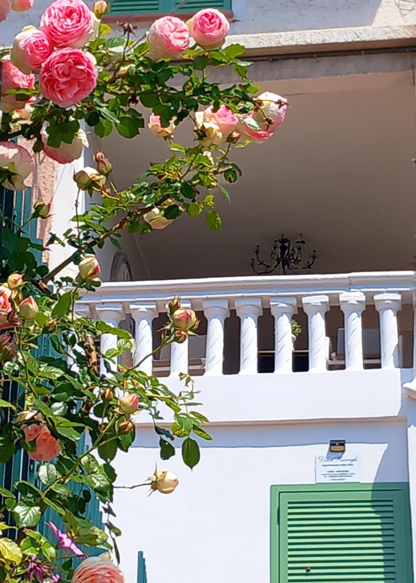 Dolci Risvegli Appartamento Vista Mare Ventimiglia Rom bilde