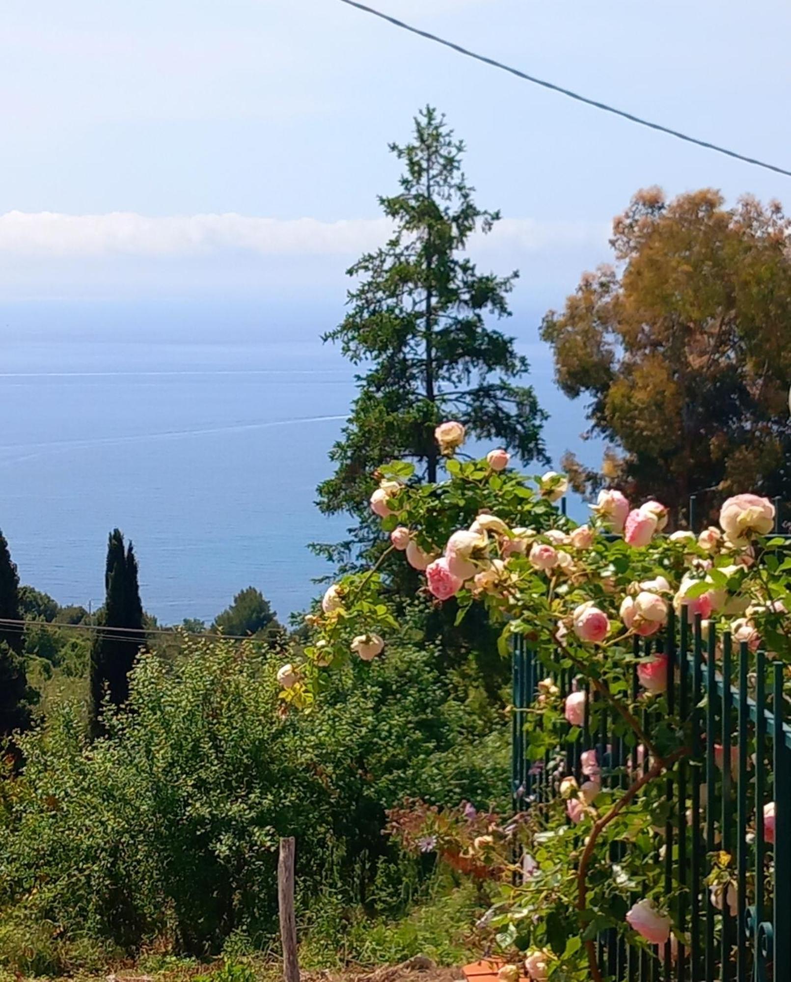 Dolci Risvegli Appartamento Vista Mare Ventimiglia Eksteriør bilde